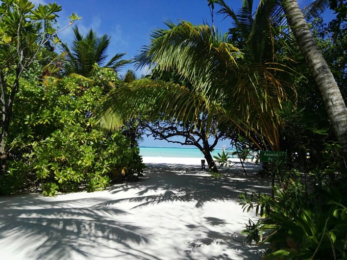 泰姬珍品岛 Taj Exotica Resort